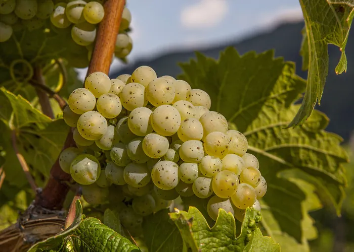 Landgasthof Winzerscheune