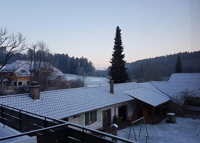 Hotel Platzhirsch