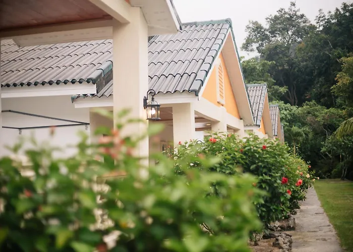 Dreamz Village