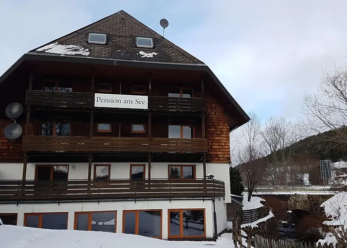 Pension Am See