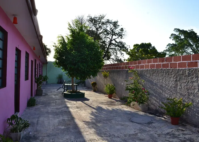 Casa Cuevas & Amaro