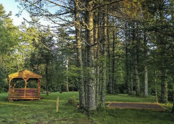 The Pineola