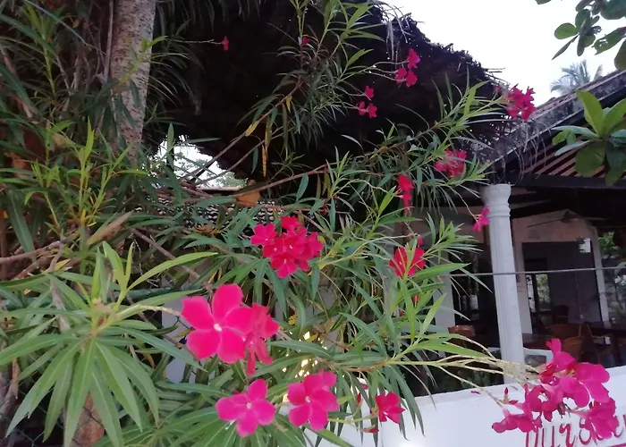 Bay Dreams Beach Hotel & Surf Camp