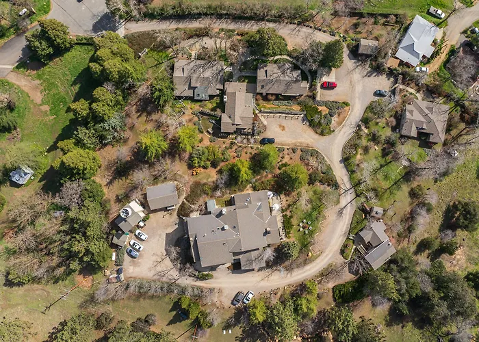 Orchard Hill