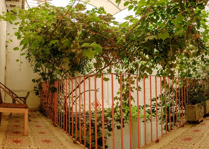 Casa Rosa - Alma Hotels