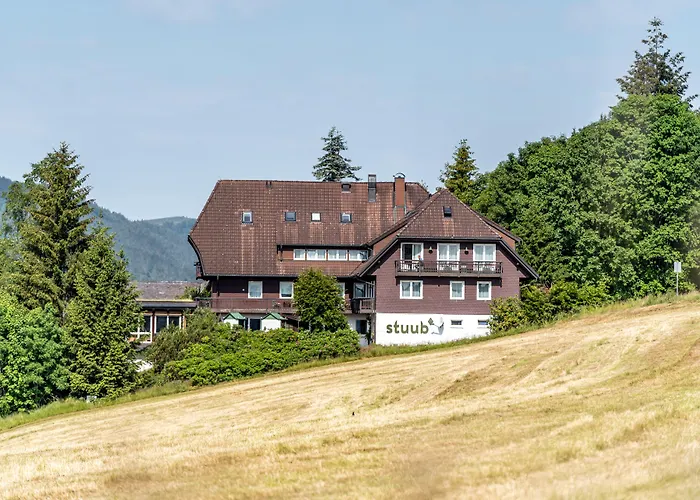 stuub hinterzarten