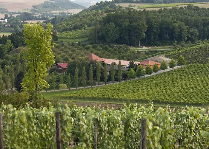 Benz Weingut & Weinhotel
