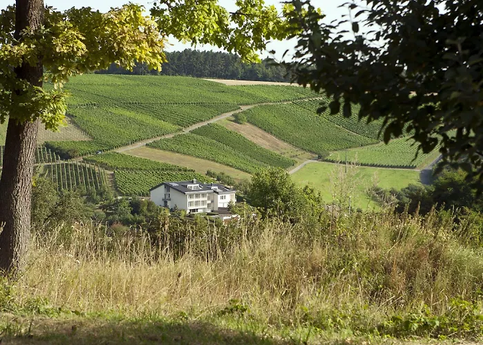 BENZ Weingut&Weinhotel