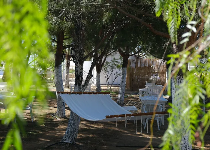 Otel Beyaz Inci