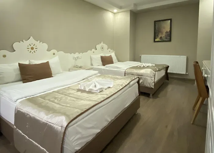 Hotel Kent Ani