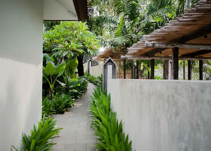 Ecozy Dijiwa Canggu