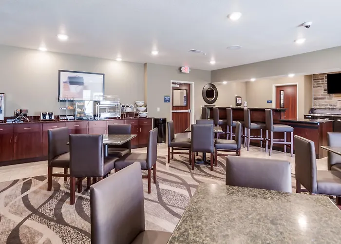 Cobblestone Inn & Suites-Fremont