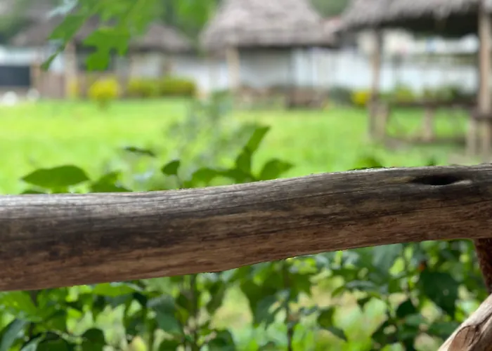 Zanzigo