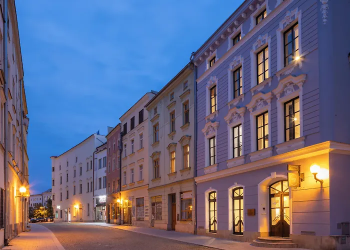 Hotel Savorsky