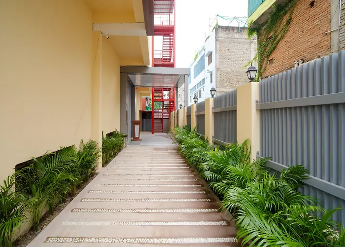 Alokah Kashi