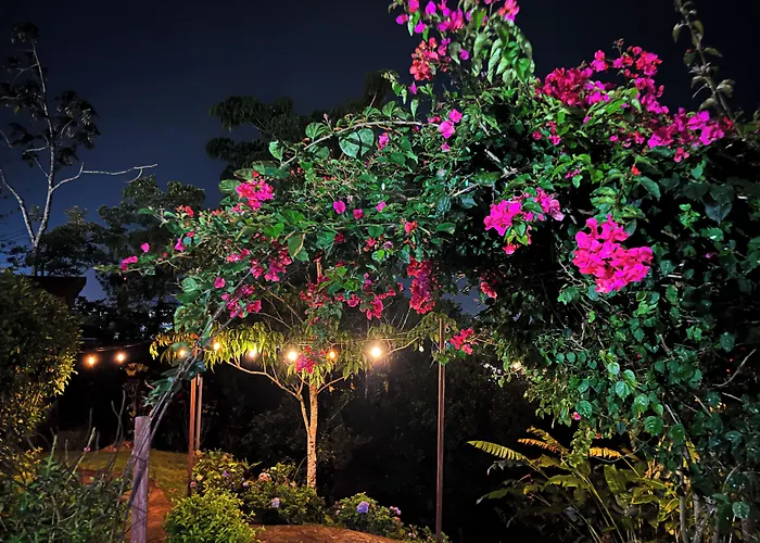 Legacy Boutique Hotel