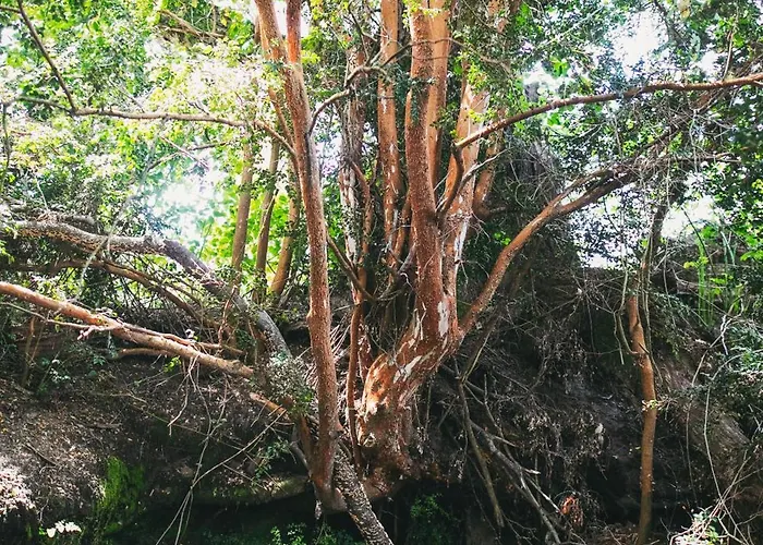 Hosteria Cuyenco