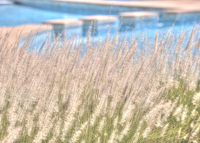 Golden Tulip Farah Khouribga