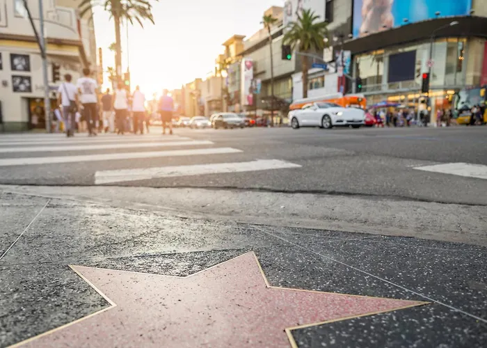 The Hotel Hollywood