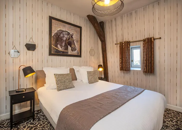 Hotel Le Pavillon Des Lys - Amboise Centre