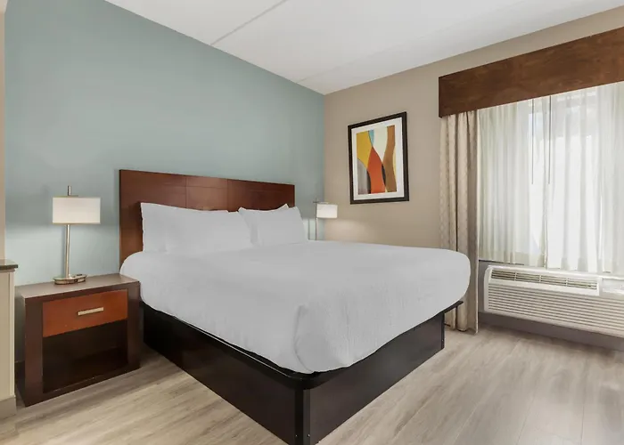 Best Western Plus Suites Greenville