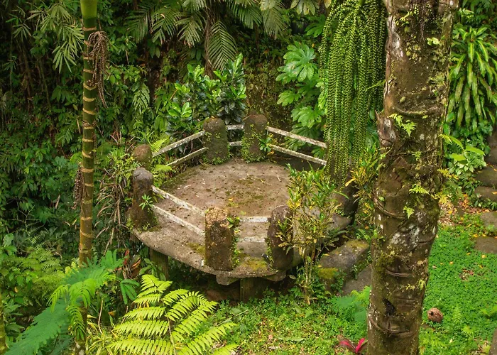 Bali Jungle Resort