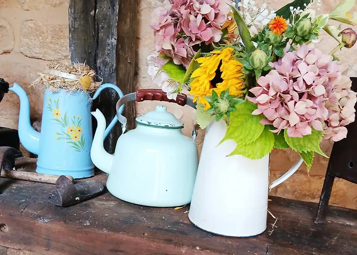 Auberge De Castel-Merle