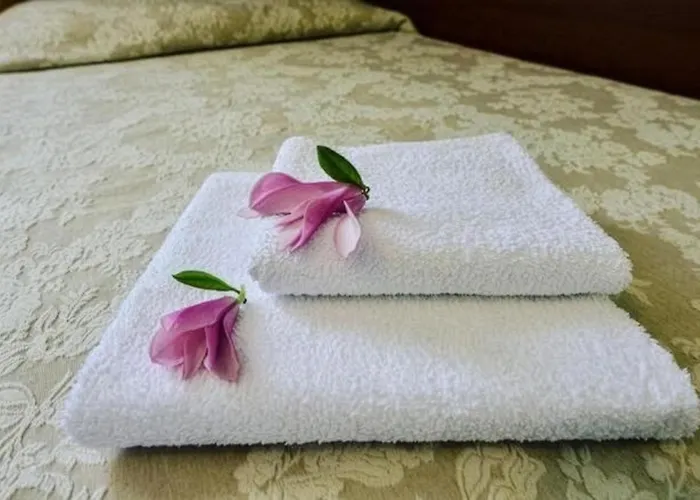 Hotel Mateo