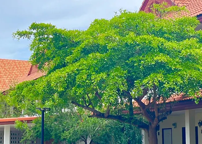 The Terrace Homestay Resort