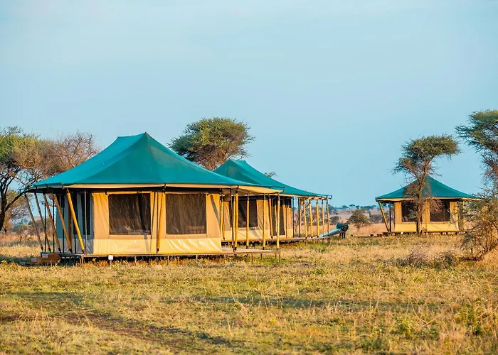 Pori Pori Lodges & Camps