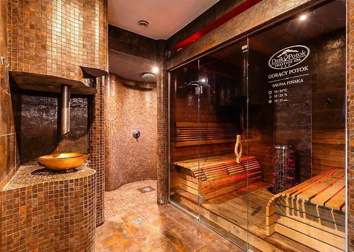 Hotel Dziki Potok Karpacz Konferencje & Spa