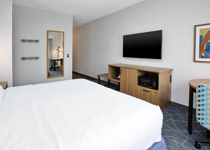 Hampton Inn Detroit/Belleville-Airport Area
