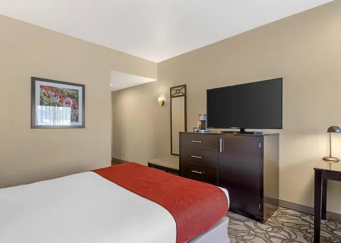 Best Western Plus Plaza By The Green