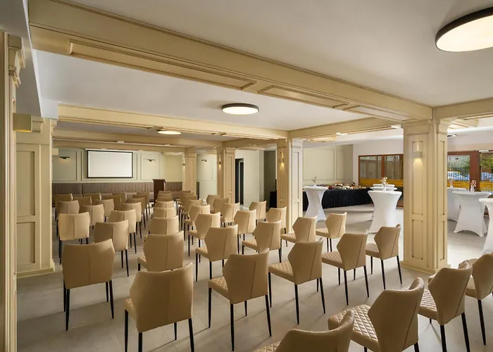 Hotel Leul De Aur