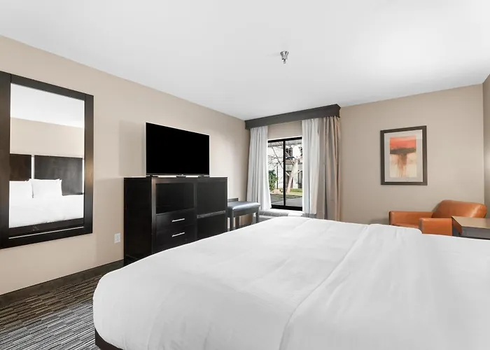 Best Western Courtview Hotel Springfield