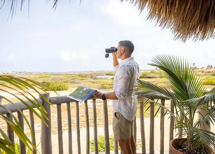 Boardwalk Boutique Hotel Aruba - Adults Only
