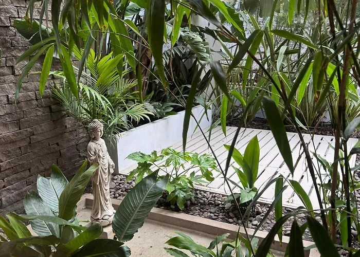 Hotel Ideal Boutique