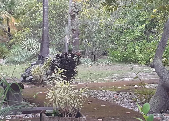 Ecolodge Batel Alagoas Coruripe