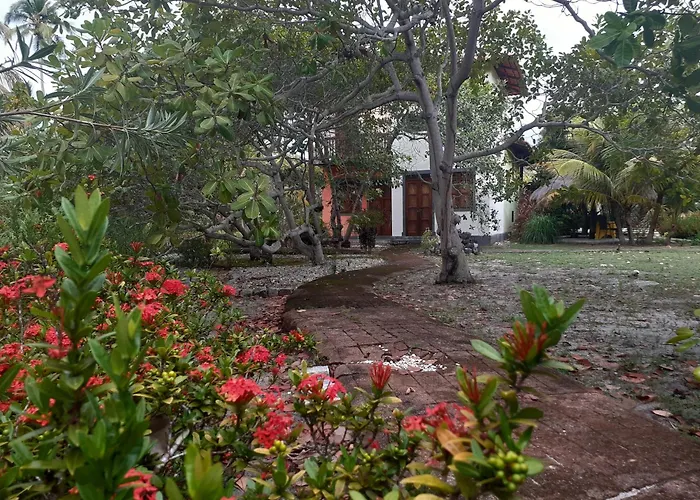 Ecolodge Batel Alagoas Coruripe