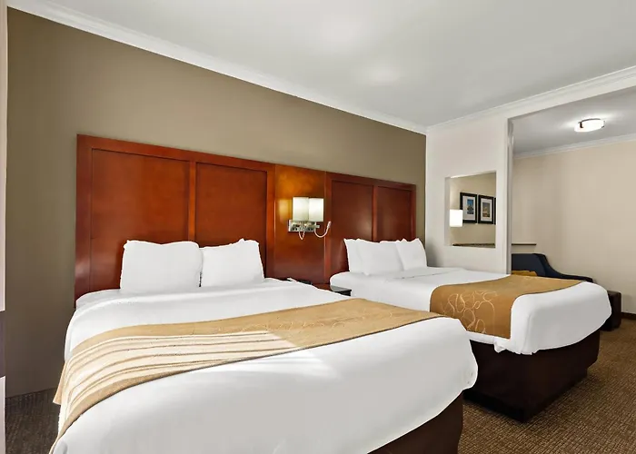 Comfort Suites Corpus Christi Central