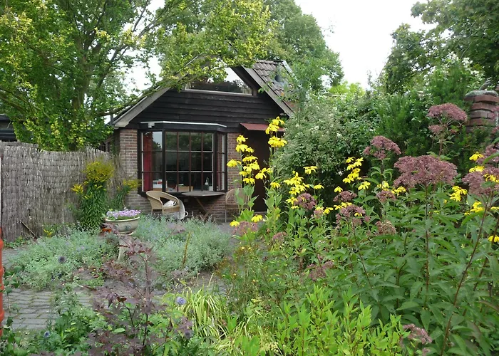 Selatuinen Bed and Breakfast Appelscha
