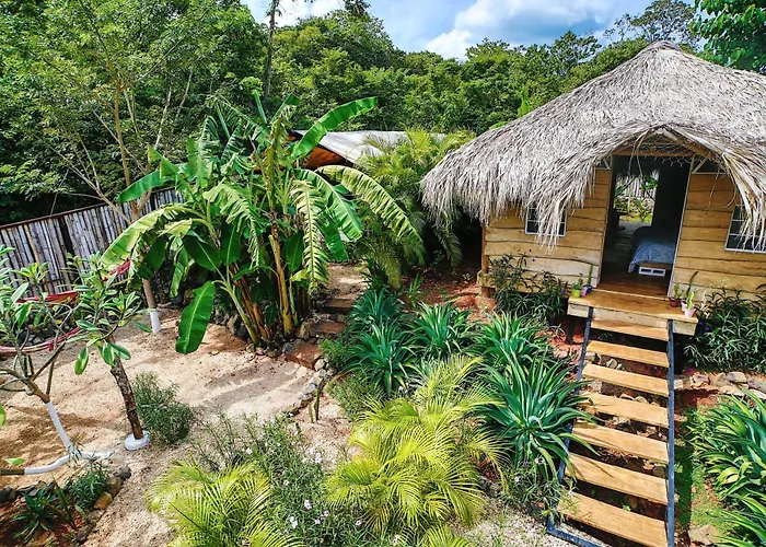 Glamping Hotel Flor y Bambu