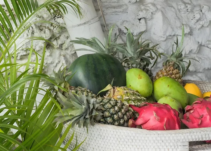 Gravity Eco Boutique Hotel - Adults Only