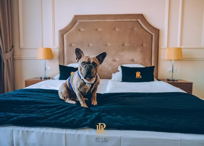 Hotel Royal & Spa