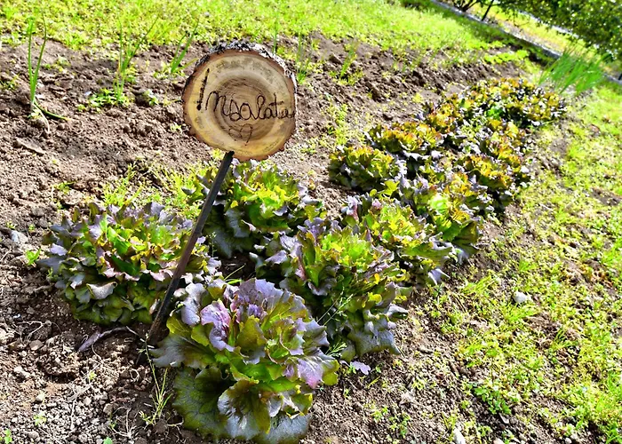 Villa Soraya Cava deʼ Tirreni