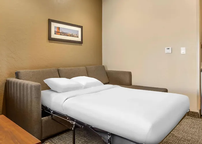 Comfort Suites Florence - Cincinnati South