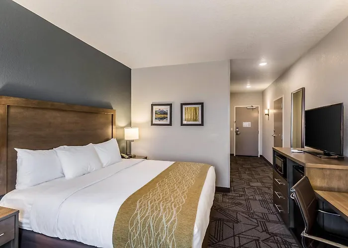 Comfort Inn & Suites Salt Lake City Airport