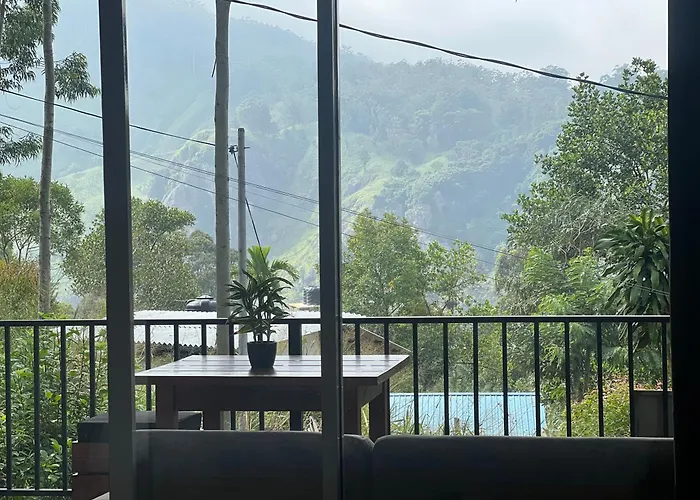 Ella Forest Eco View