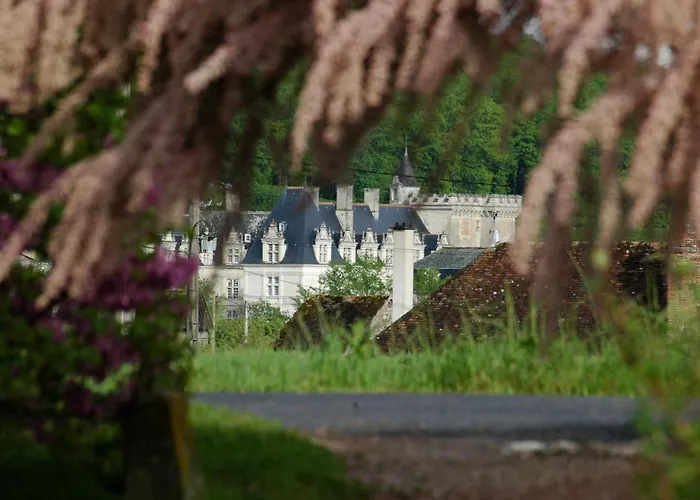 Le Chat Courant Villandry