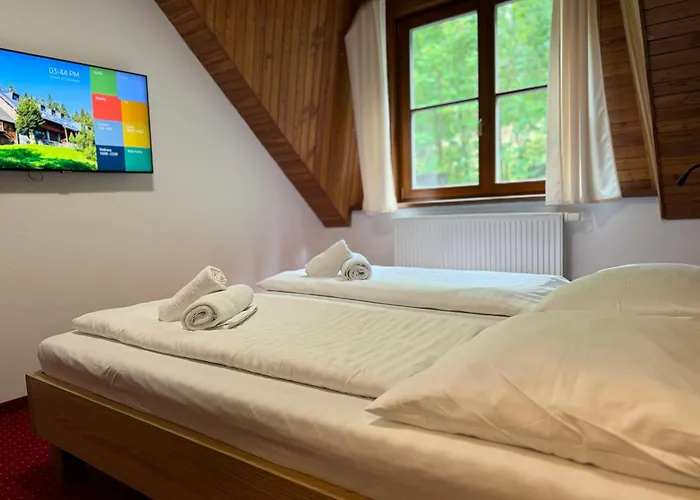 Horsky Hotel Vidly